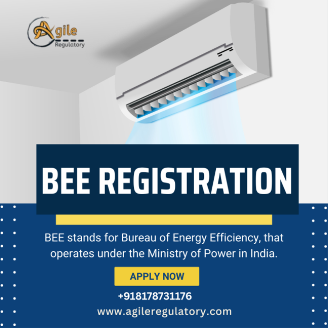 Fast & Hassle-Free BEE Certification Service