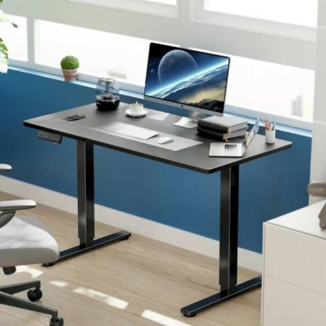 Ergonomic Electric Standing Desk for Home Office