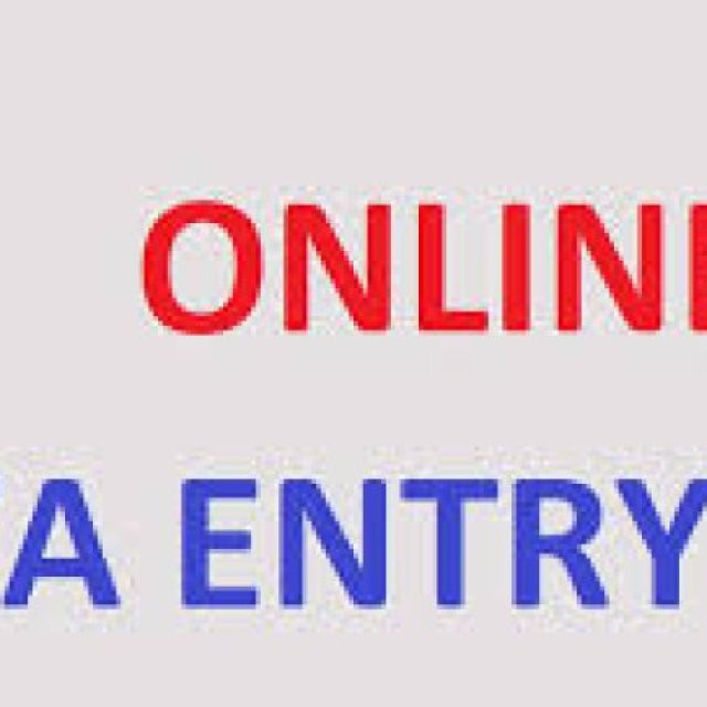 Earn minimum 30k in Data US Medical Form Filling project 7708244092