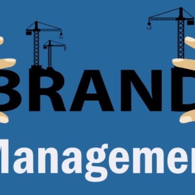Brand management company in India - SEO India Higher Up