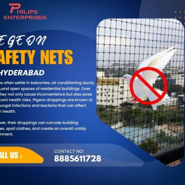 Pegion Safety Nets in Hyderabad