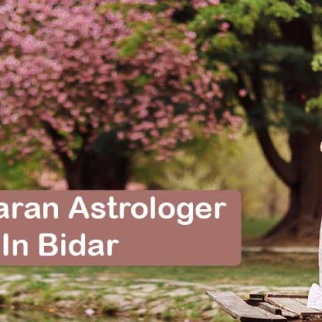 Vashikaran Astrologer in Bidar