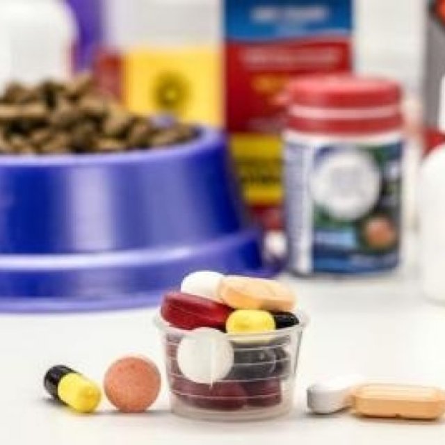 Albendazole Bolus Manufacturers