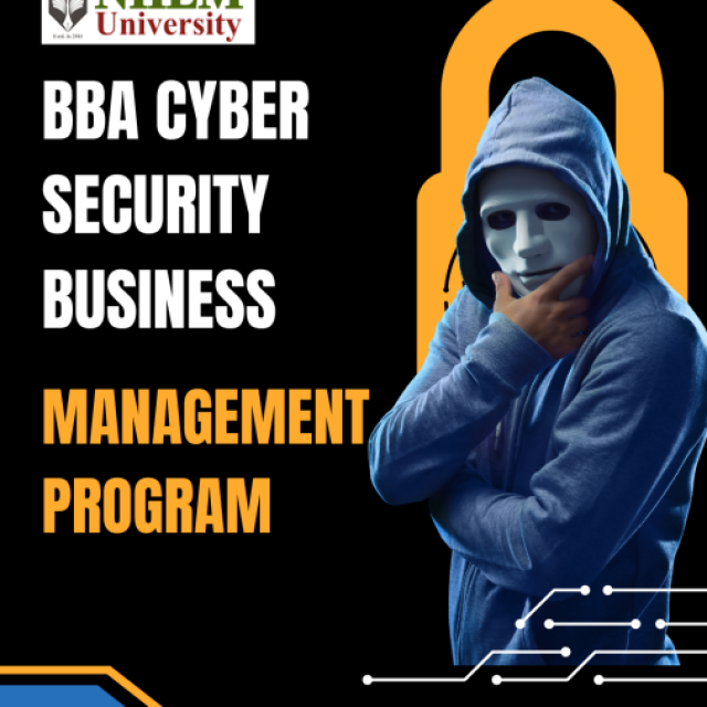 BBA Cyber Security Business Management Program at NIILM University