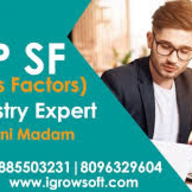 SAP Success Factors Online training institute Hyderabad | Igrowsoft