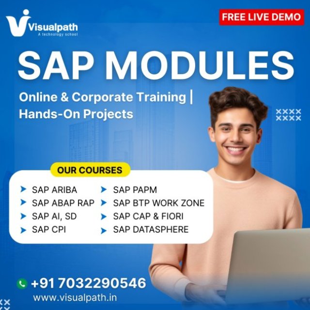 Launch Your Global Career with SAP Expertise at Visualpath Training