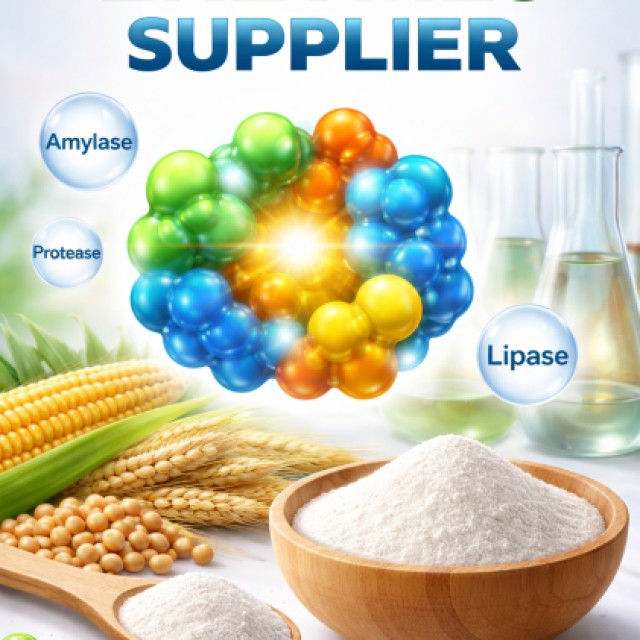 Connect with Enzyme Supplier - Buy Industrial Enzymes Now