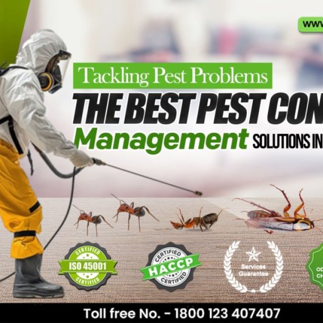 Urban Junggle - Best Pest Control Services in Ahmedabad