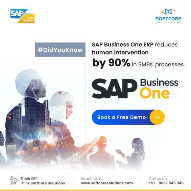 How can Professional Services benefit from SAP Business One ERP