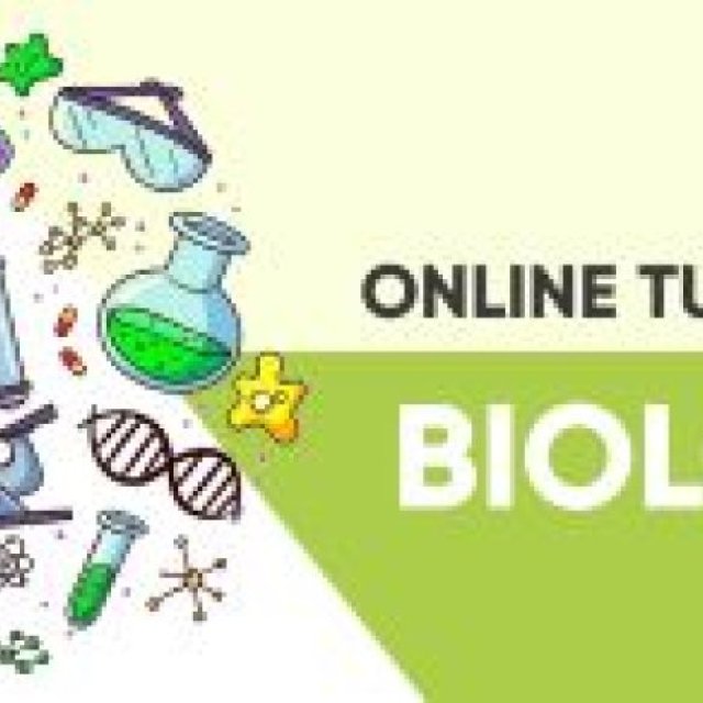 Online Biology Home Tuition: Helping Students Excel and Easing Parental Anxiety