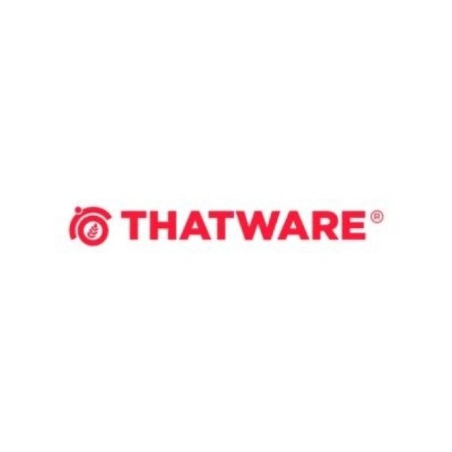 Discover Top SEO Experts Australia at THATWARE LLP