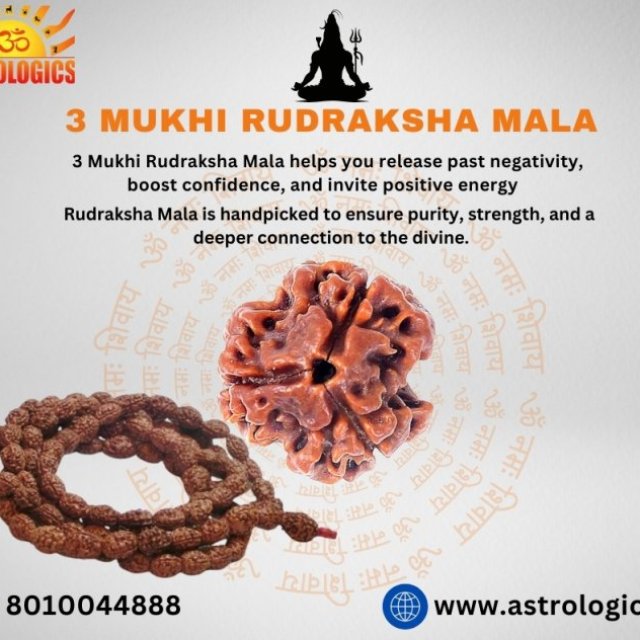 Unlock the Power of Transformation with 3 Mukhi Rudraksha Mala