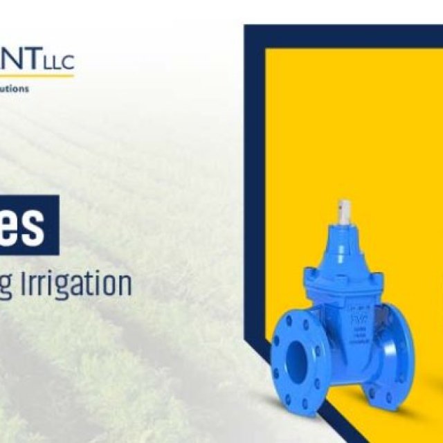 Enhancing irrigation with TSE gate valves!