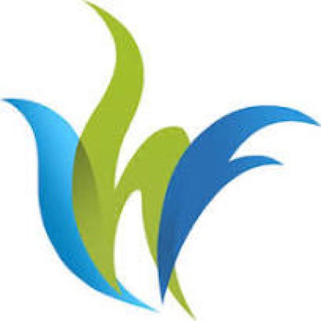 Volunteer Opportunity: Experienced Fundraising Specialist (Remote)