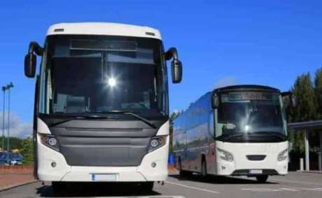 Set up business for sale, 2 Omni buses with all business