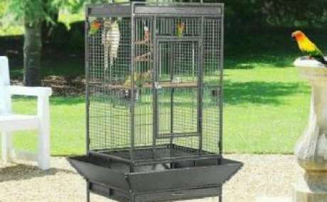 Buy Bird Cages Online in India - 22 Off