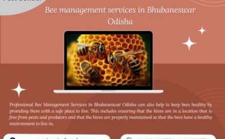 Bee management services in Bhubaneswar Odisha