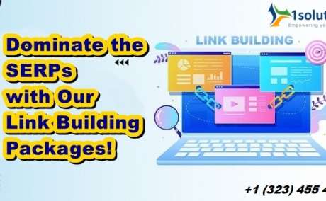 Dominate the SERPs with Our Link Building Packages!