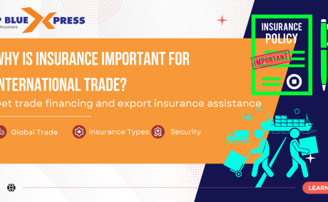 Understanding the significance of insurance in international trade