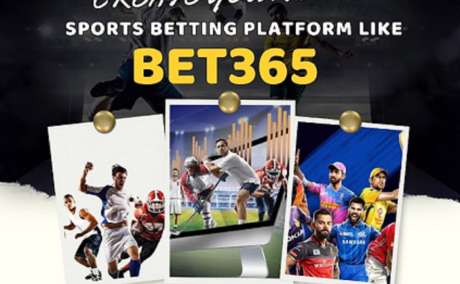 Create a Custom Betting Experience with Bet365 Clone Script
