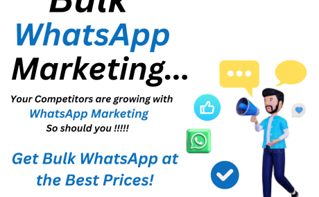 Bulk WhatsApp Company in Delhi