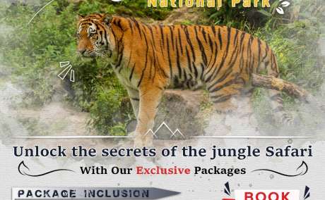 Jim Corbett Safari Booking  | Book