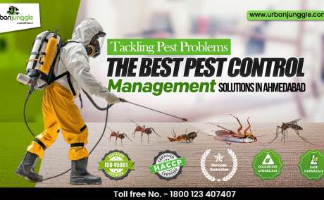 Urban Junggle - Best Pest Control Services in Ahmedabad