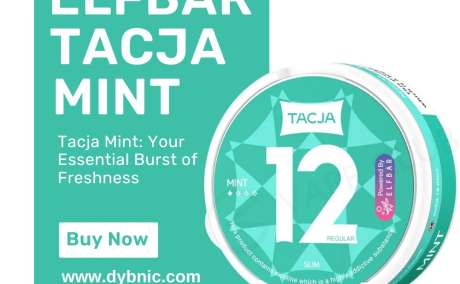 Mint Elf Bar TACJA Nicotine Pouches Online