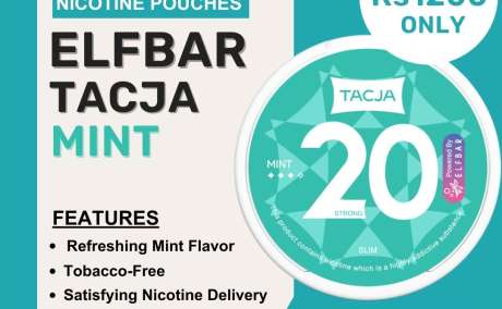 Elfbar Tacja Nicotine Pouches Mint