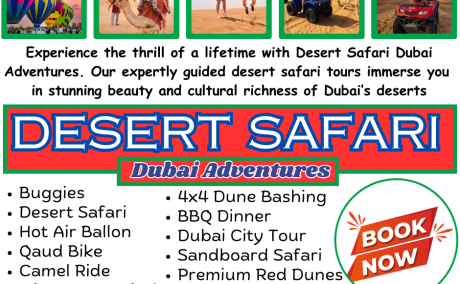 Private Desert Safari Dubai 00971 55 553 8395