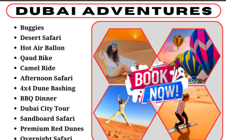 morning desert safari dubai 0097 55 553 8395