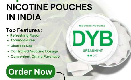 Spearmint Nicotine Pouches in India: Freshness Meets Convenience