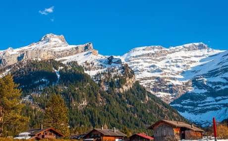 Alpine Beauty Calling? Here's Your Swiss Tour Packages!