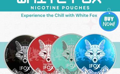 Buy White fox nicotine pouches from DYB