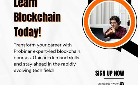 Advance Your Career with Probinar Expert-Led Blockchain Online Courses