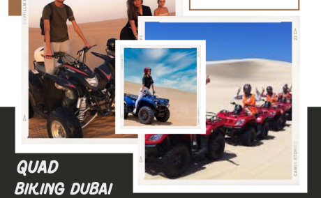 Red Sand Desert Safari Dubai / +971555538395