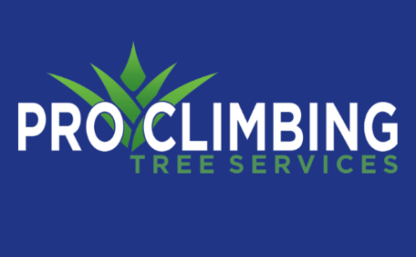 Pro Climbing Tree Services - 24/7 Emergency Tree Services