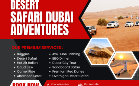 Private Desert Safari Dubai 00971555538395