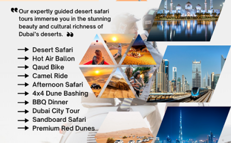 Camel Ride Adventures Dubai 00971555538395