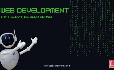 Top Web Development Company in Bhopal | Leads and Brands