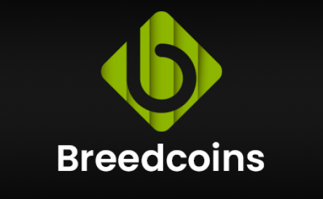 Web3 Game Development Company | Breedcoins