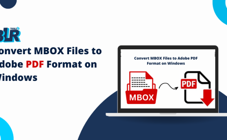 BLR MBOX Converter to Export MBOX Files to PDF