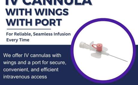 Ivcannula with wings with port