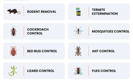 Need pest control near you in Hyderabad