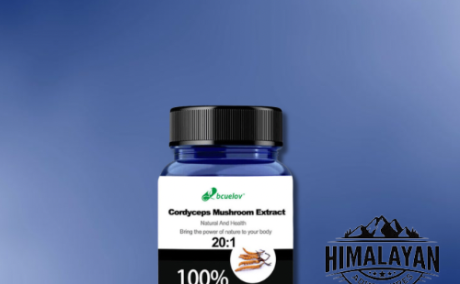 Natural Tibetan Himalayas Cordyceps Sinensis Extract