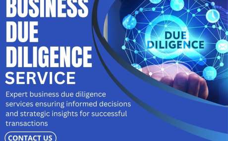 Business Due Diligence Services Provider