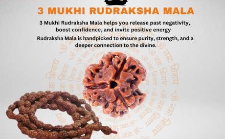 Unlock the Power of Transformation with 3 Mukhi Rudraksha Mala