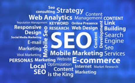 Professional SEO Services for Driving Traffic, Leads, & Sales