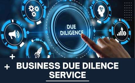 Business Due Diligence Services - Knowledgetics Research Pvt. Ltd