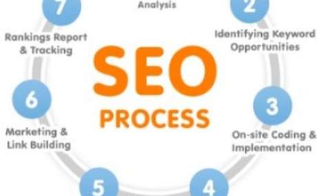 Professional SEO to enhance site authority